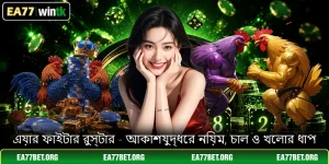 এয়ার ফাইটার রুস্টার - আকাশযুদ্ধের নিয়ম, চাল ও খেলার ধাপ