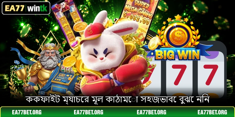 ককফাইট ম্যাচের মূল কাঠামো সহজভাবে বুঝে নিন