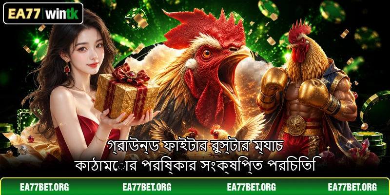 গ্রাউন্ড ফাইটার রুস্টার ম্যাচ কাঠামোর পরিষ্কার সংক্ষিপ্ত পরিচিতি