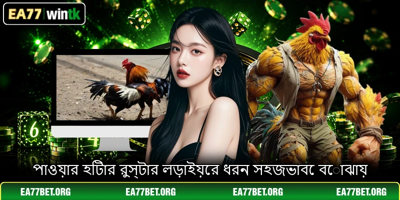 পাওয়ার হিটার রুস্টার লড়াইয়ের ধরন সহজভাবে বোঝায়