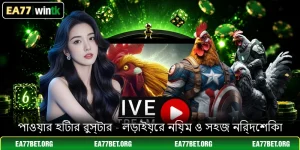 পাওয়ার হিটার রুস্টার - লড়াইয়ের নিয়ম ও সহজ নির্দেশিকা
