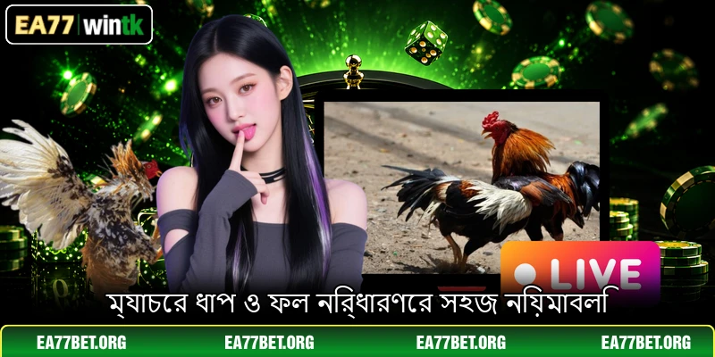 ম্যাচের ধাপ ও ফল নির্ধারণের সহজ নিয়মাবলি